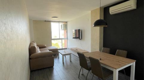 Pis de lloguer a Avenida Ciudad de Matanzas, 4, Paus - Poligono San Blas, Alicante - imatge 5 Foto 5 de Pis de lloguer a Avenida Ciudad de Matanzas, 4, Paus - Poligono San Blas, Alicante