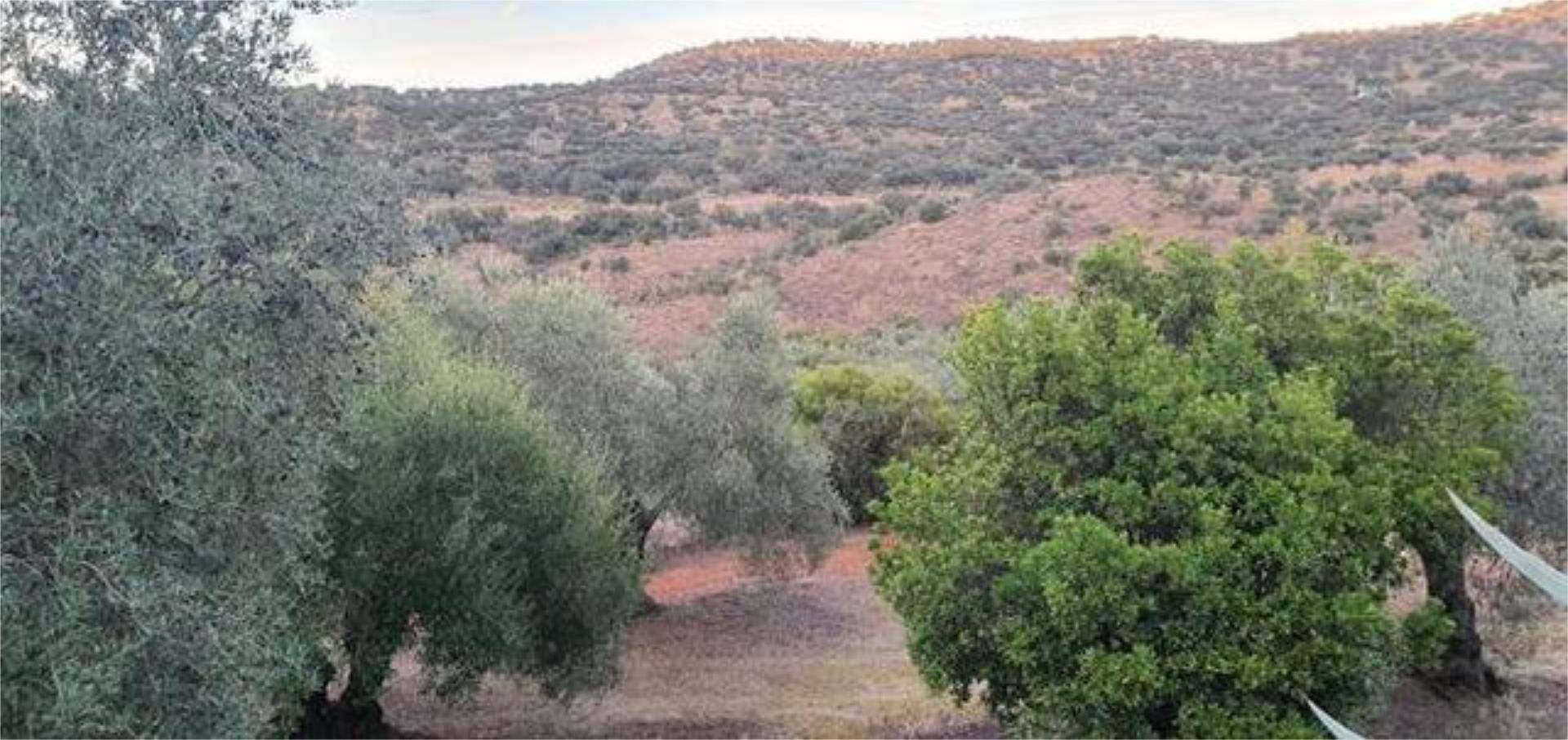 Casa o xalet en venda en Villanueva del Rey amb Jardí privat, Traster i Moblat
