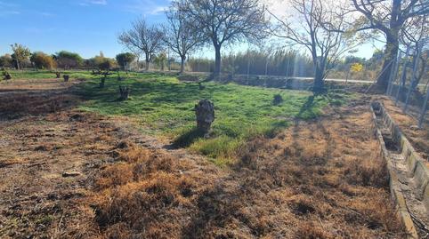 Terreno en venta en Avenida de Los Jeronimos, 79, Guadalupe, Murcia - imagen 3 Foto 3 de Terreno en venta en Avenida de Los Jeronimos, 79, Guadalupe, Murcia