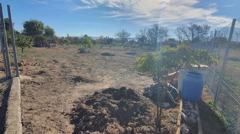 Terreno en venta en Avenida de Los Jeronimos, 79, Guadalupe, Murcia - imagen 4 Foto 4 de Terreno en venta en Avenida de Los Jeronimos, 79, Guadalupe, Murcia