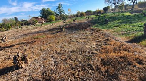 Terreno en venta en Avenida de Los Jeronimos, 79, Guadalupe, Murcia - imagen 5 Foto 5 de Terreno en venta en Avenida de Los Jeronimos, 79, Guadalupe, Murcia