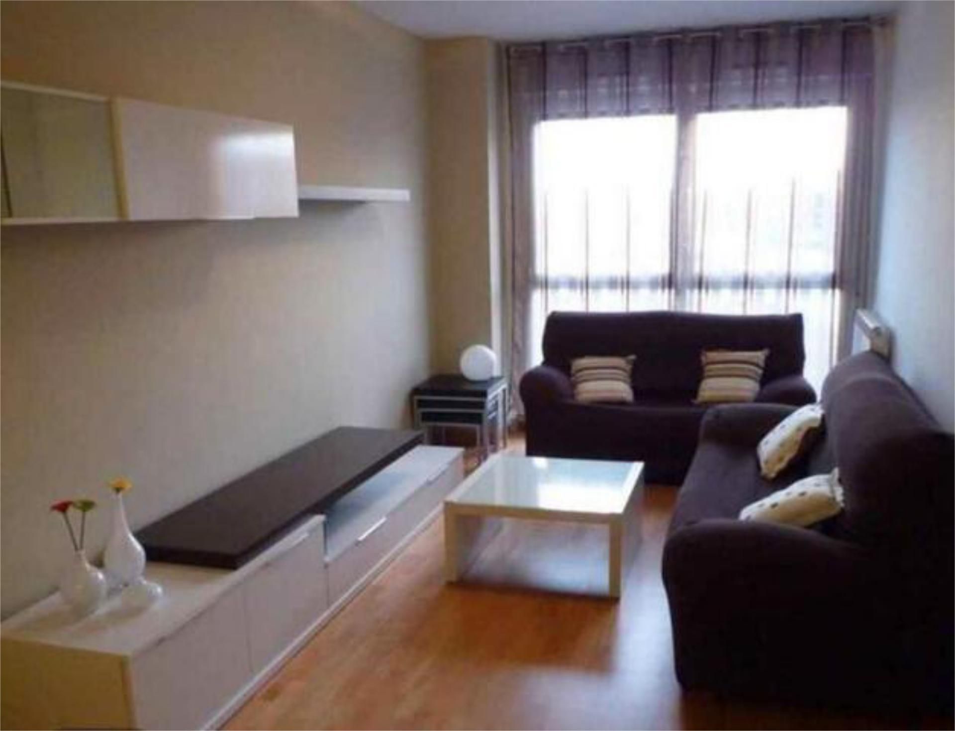 Sala d'estar de Pis de lloguer en León Capital  amb Calefacció i Moblat