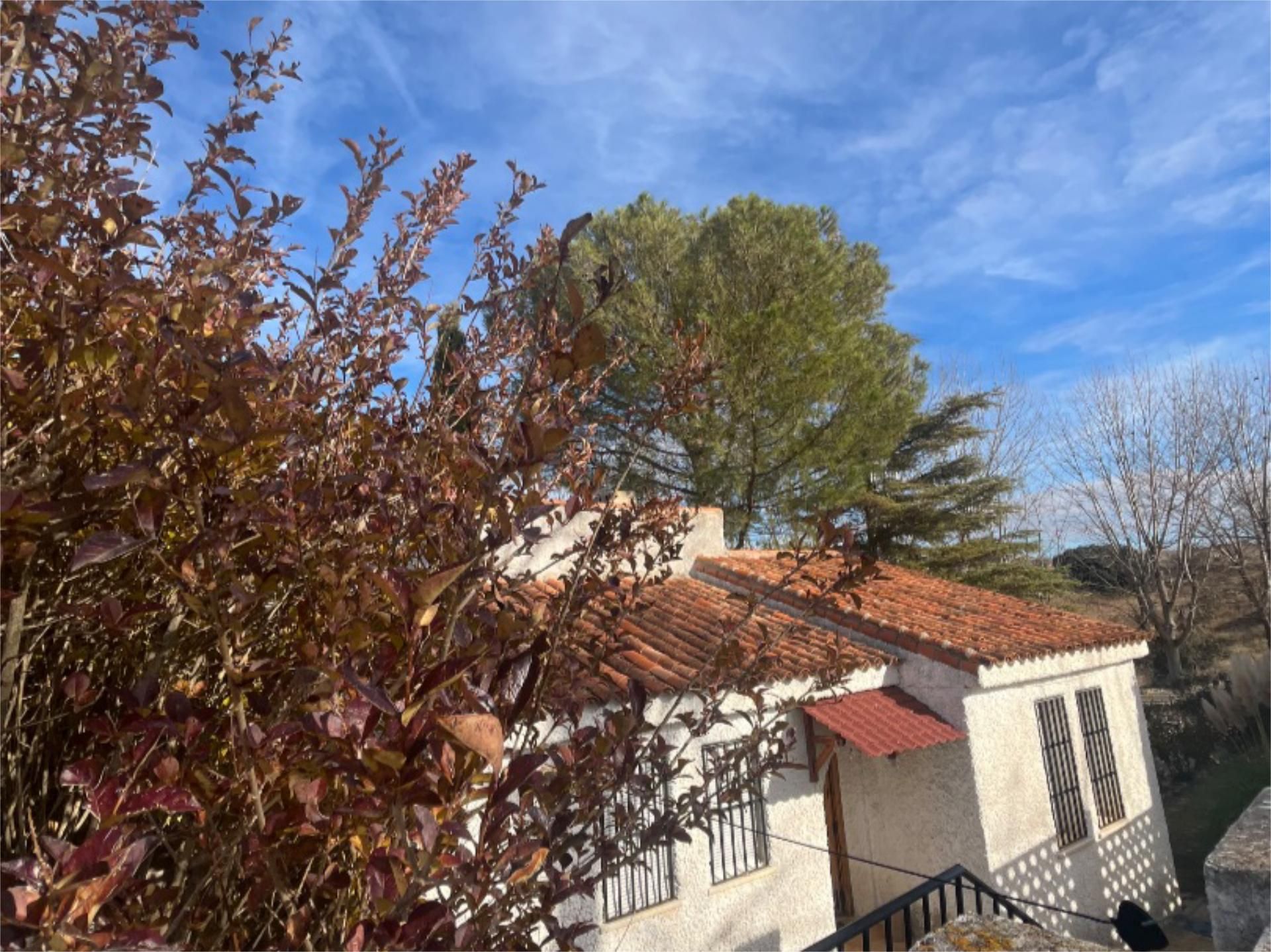 Exterior view of House or chalet for sale in Lillo