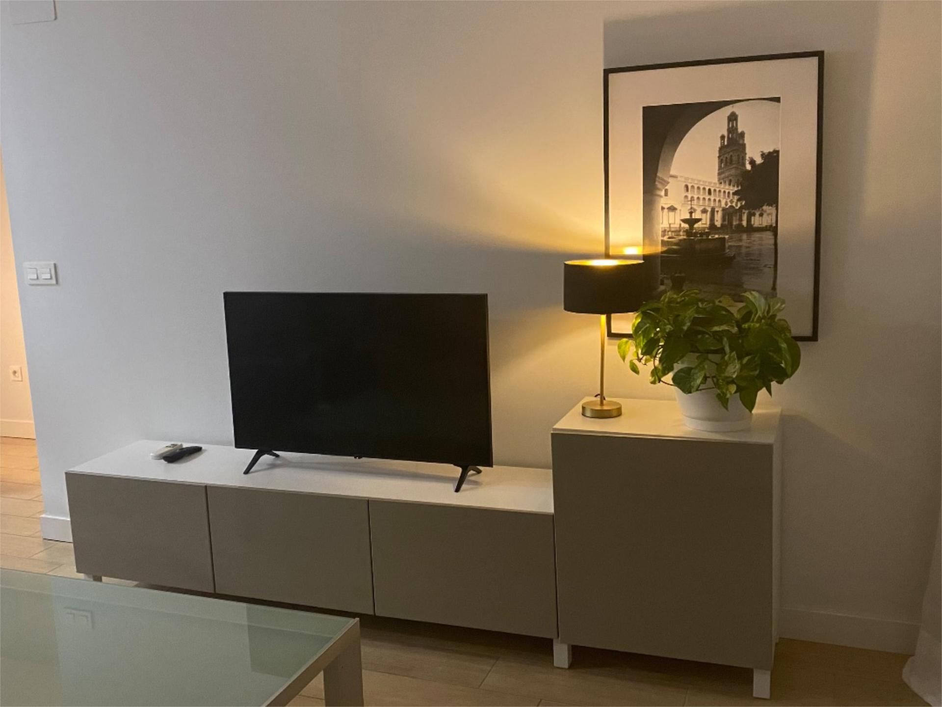 Sala d'estar de Pis en venda en Alicante / Alacant amb Aire condicionat, Jardí privat i Terrassa