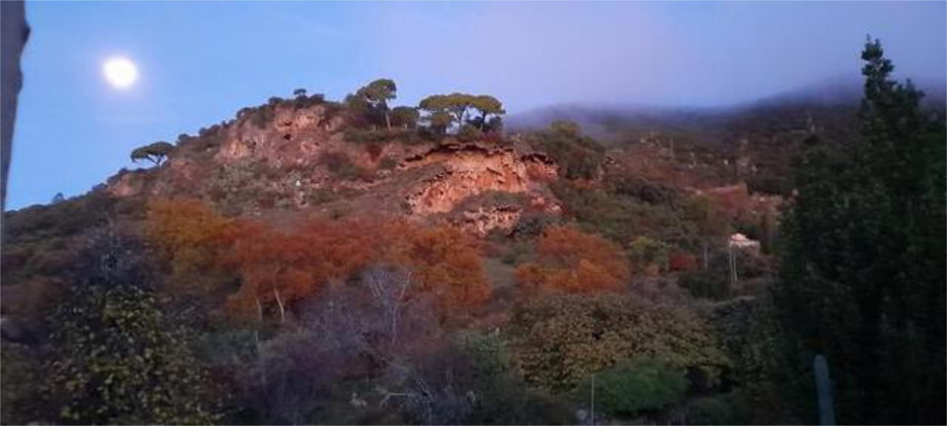 Exterior view of House or chalet for sale in Santa Ana la Real  with Terrace