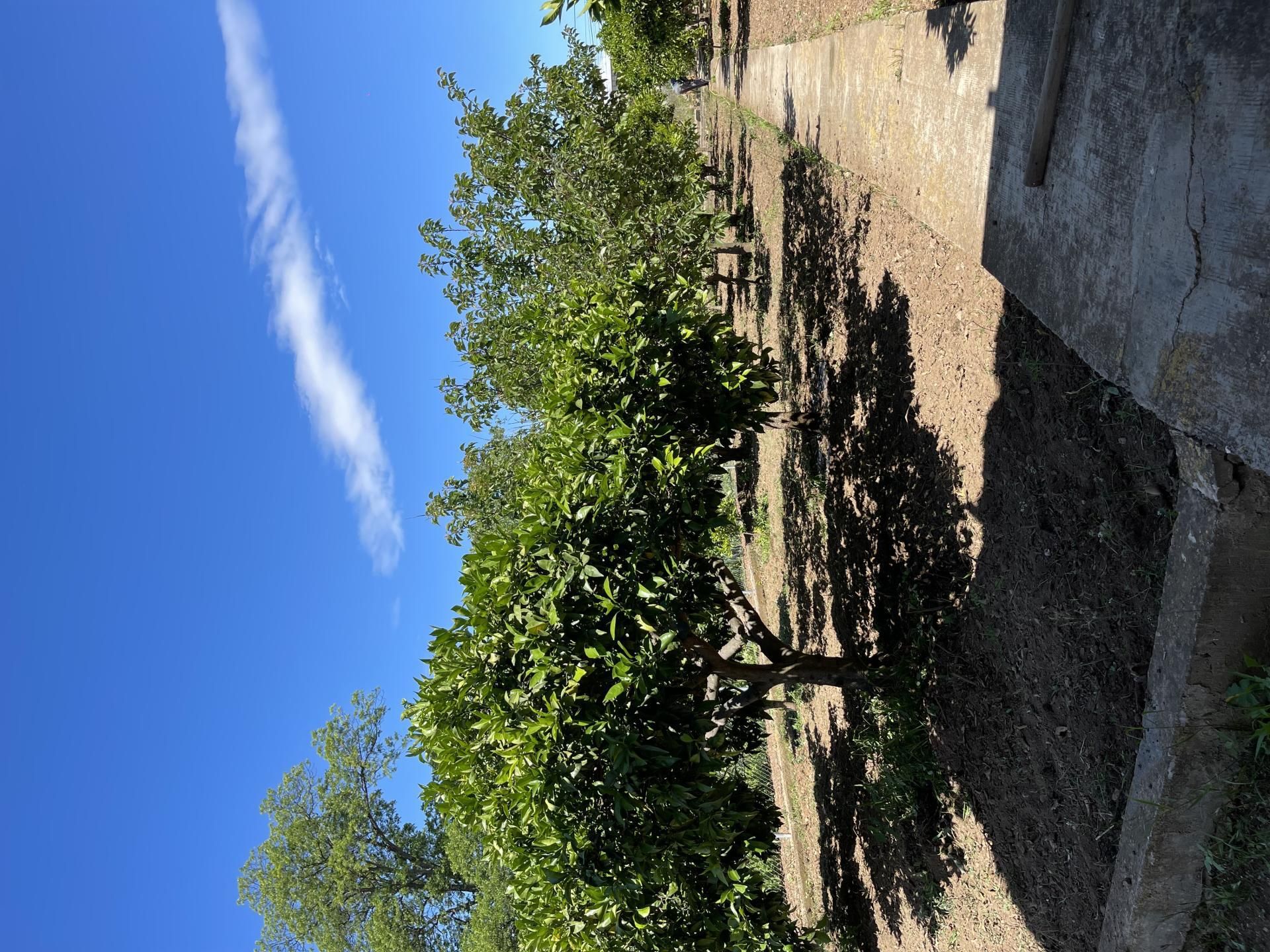 House or chalet to share in Carrer d'Ulldecona, 80, La Marina del Prat Vermell House or chalet to share in Barcelona Capital with Heating, Private garden and Furnished