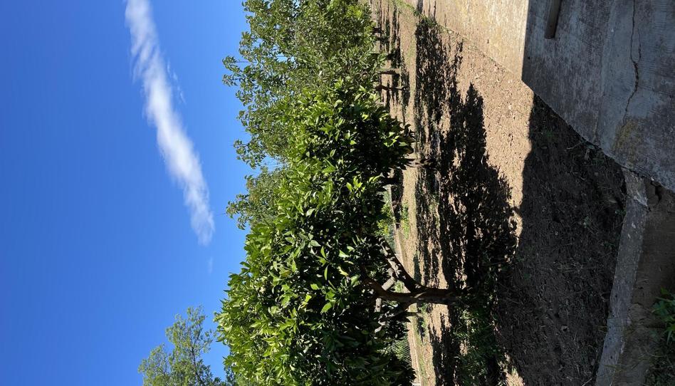 House or chalet to share in Carrer D'ulldecona, 80, La Marina del Prat Vermell, Barcelona - image 1 Photo 1 of House or chalet to share in Carrer D'ulldecona, 80, La Marina del Prat Vermell, Barcelona