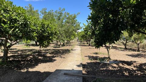 House or chalet to share in Carrer D'ulldecona, 80, La Marina del Prat Vermell, Barcelona - image 2 Photo 2 of House or chalet to share in Carrer D'ulldecona, 80, La Marina del Prat Vermell, Barcelona