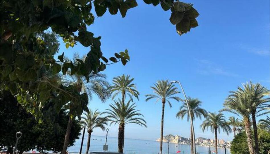 Flat to rent in Cala de Finestrat, Alicante - image 1 Photo 1 of Flat to rent in Cala de Finestrat, Alicante