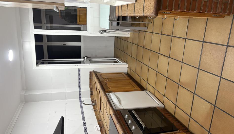 Piso de alquiler en Calle Paseo de la Conferencia, 36, Casco Antiguo, Cádiz - imagen 1 Foto 1 de Piso de alquiler en Calle Paseo de la Conferencia, 36, Casco Antiguo, Cádiz