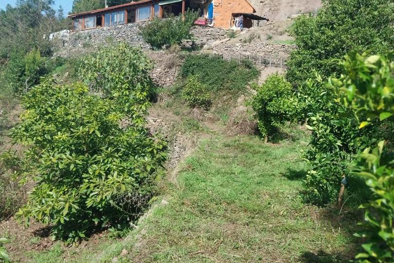 Photo 1 of Country house for sale in Calle Los Aceviños, 29, Hermigua, Santa Cruz de Tenerife