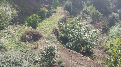 Foto 3 de Finca rústica en venda a Calle Los Aceviños, 29, Hermigua, Santa Cruz de Tenerife