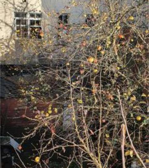 Photo 2 of House or chalet for sale in Recatelo - O Carme, Lugo