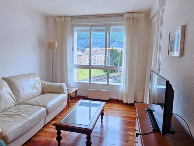 Piso en Venta en Barrio Oriñón, 1001 en Oriñón - Allendelagua