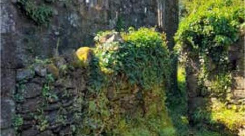 Foto 4 de Casa o chalet en venta en Crecente, Pontevedra