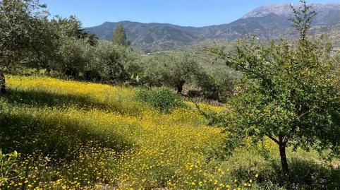 Photo 4 of Flat for sale in Avenida Andalucía, 19, Alozaina, Málaga
