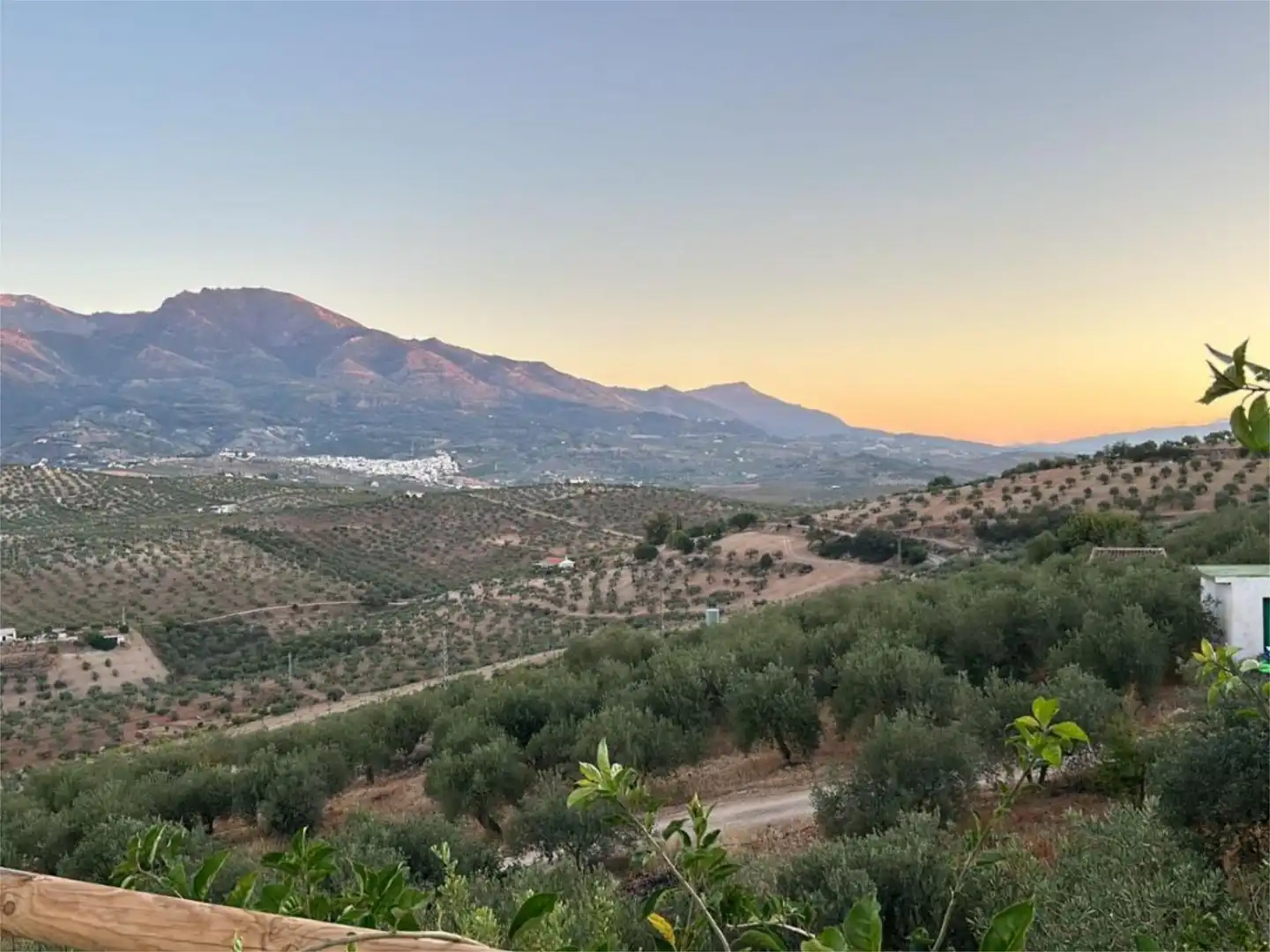 Piso en venta en Avenida Andalucía, 19, Alozaina Piso en venta en Avenida Andalucía, 19, Alozaina