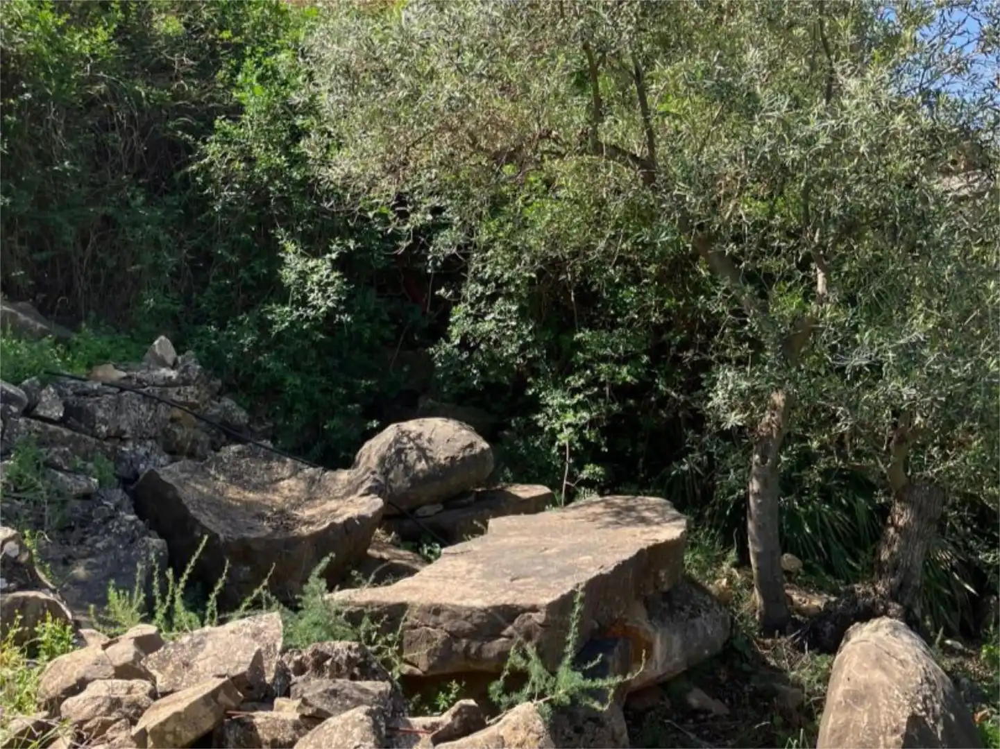 Piso en venta en Avenida Andalucía, 19, Alozaina Piso en venta en Avenida Andalucía, 19, Alozaina