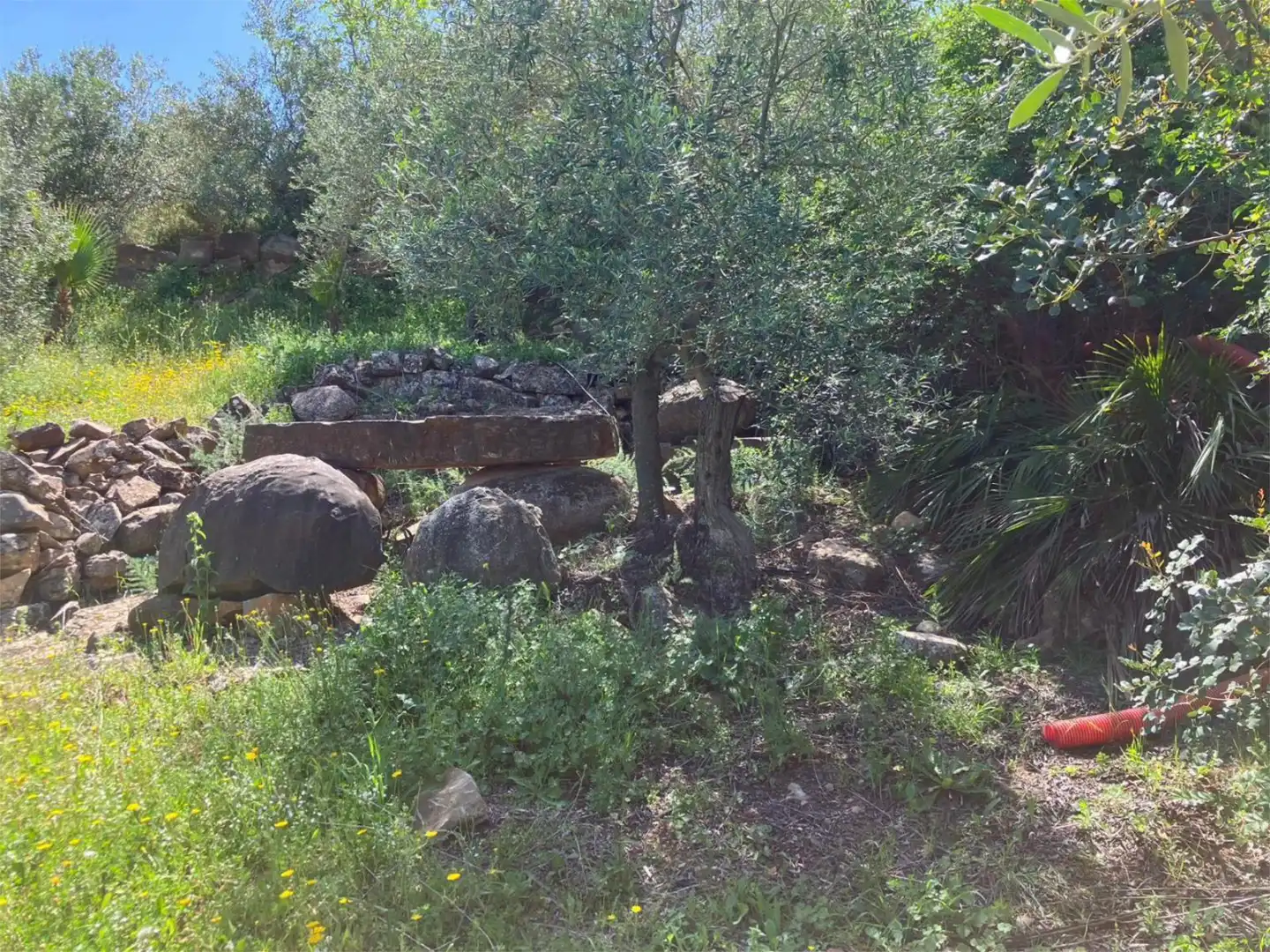 Piso en venta en Avenida Andalucía, 19, Alozaina Piso en venta en Avenida Andalucía, 19, Alozaina