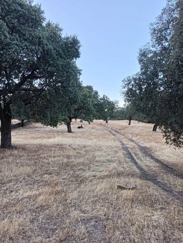 Terreno en Venta en Plaza Romero de Castilla, 3A en Cabeza la Vaca