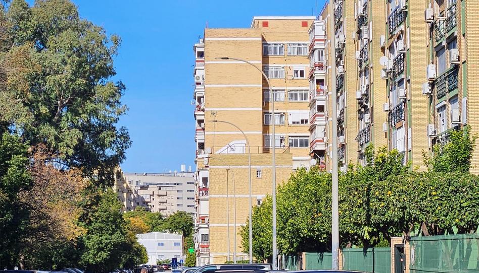 Flat for sale in Avenida de la Paz, 69, El Plantinar – Avda. La Paz - El Juncal, Sevilla - image 1 Photo 1 of Flat for sale in Avenida de la Paz, 69, El Plantinar – Avda. La Paz - El Juncal, Sevilla