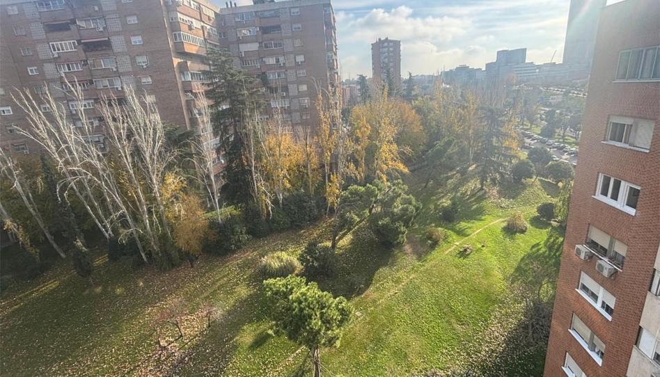 Pis per a compartir a Calle de San Modesto, 38, Tres Olivos - Valverde, Madrid - imatge 1 Foto 1 de Pis per a compartir a Calle de San Modesto, 38, Tres Olivos - Valverde, Madrid