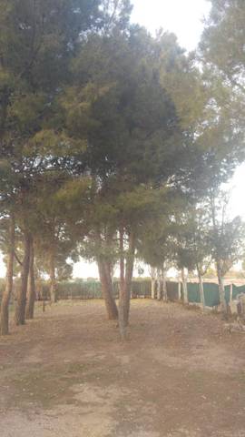 Casa-chalet en Venta en Callejon Cervantes, 1 en Alcázar de San Juan