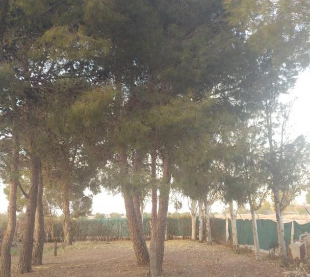 Casa o chalet en venta en Callejon Cervantes, 1, Alcázar de San Juan, Ciudad Real - imagen 1 Foto 1 de Casa o chalet en venta en Callejon Cervantes, 1, Alcázar de San Juan, Ciudad Real