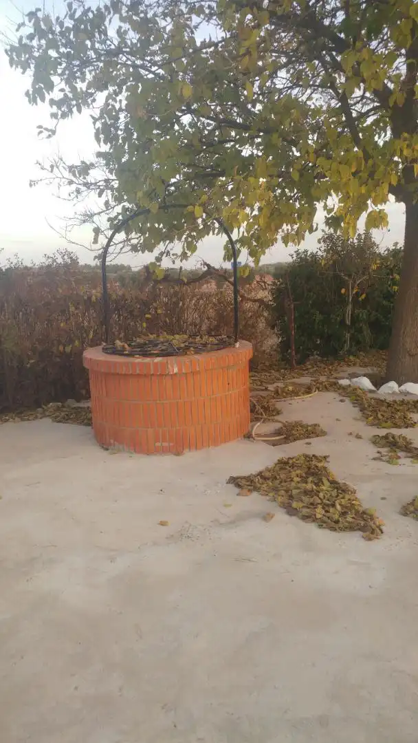 Jardín de Casa o chalet en venta en Alcázar de San Juan con Parking comunitario, Videoportero y Piscina comunitaria