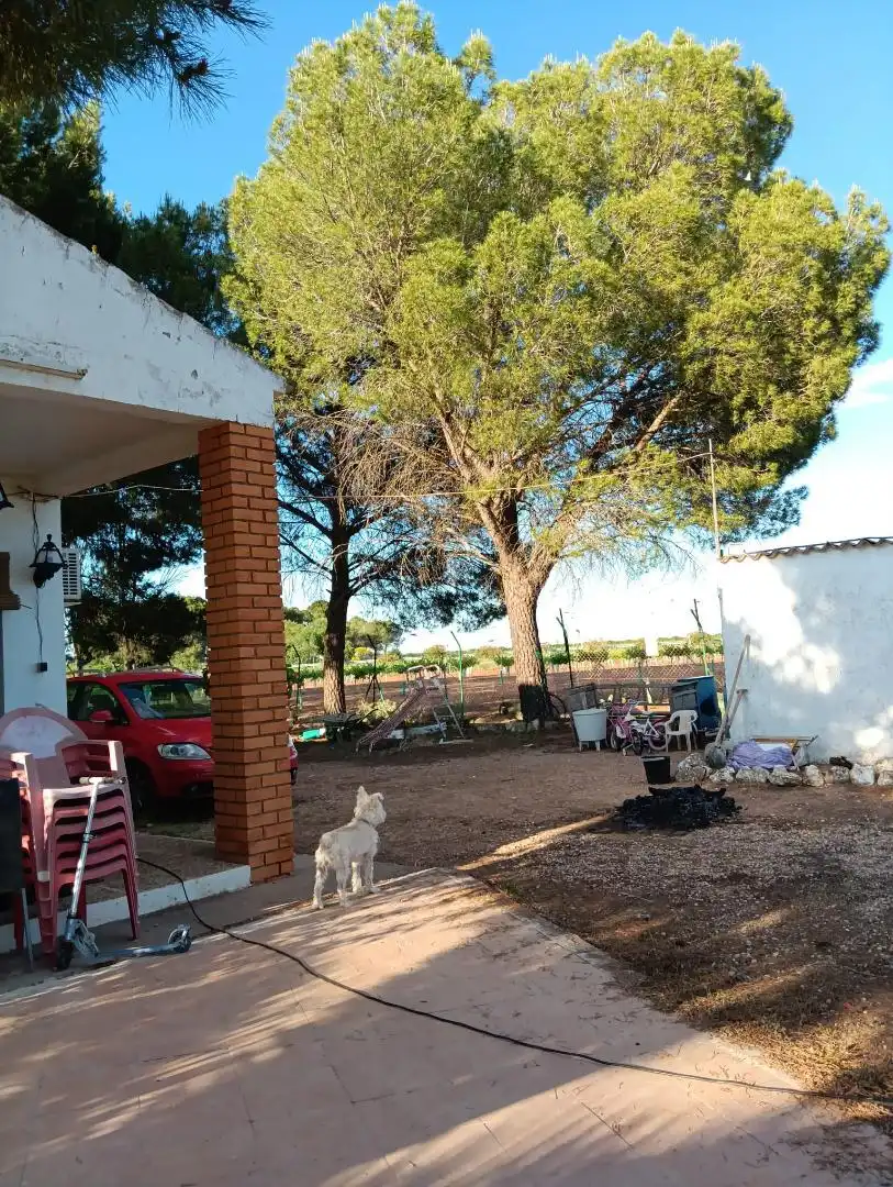 Jardín de Casa o chalet en venta en Alcázar de San Juan con Parking comunitario, Videoportero y Piscina comunitaria