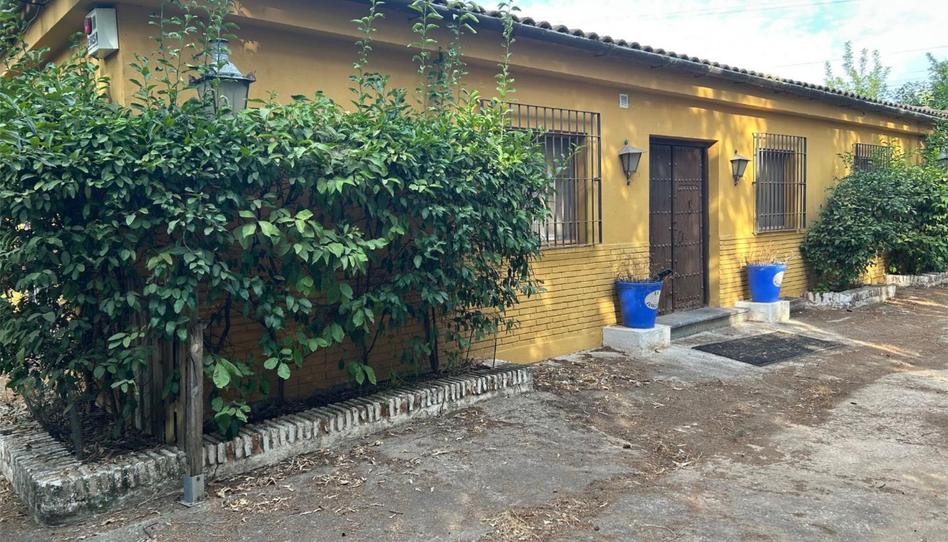 Casa o xalet en venda a Calle las Mimosas, 7k, El Higuerón, Córdoba - imatge 1 Foto 1 de Casa o xalet en venda a Calle las Mimosas, 7k, El Higuerón, Córdoba
