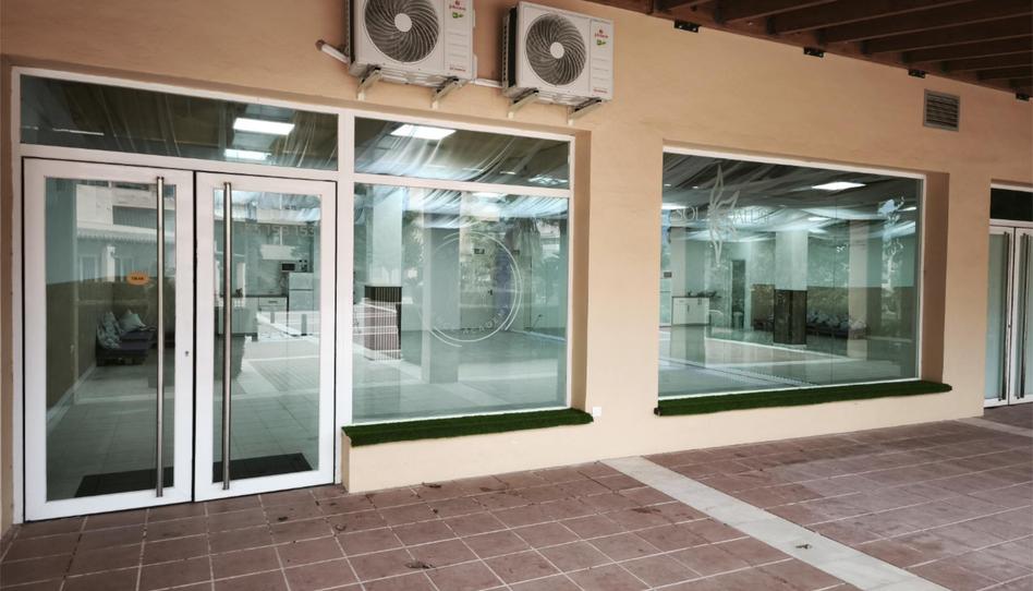 Premises to rent in Camino Cuesta del Palmar, 8, Alquería - Torrealquería, Málaga - image 1 Photo 1 of Premises to rent in Camino Cuesta del Palmar, 8, Alquería - Torrealquería, Málaga