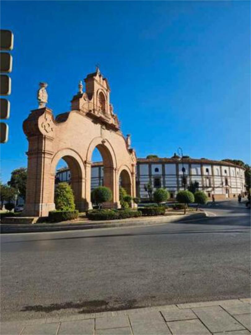 Exterior view of Flat to rent in Antequera