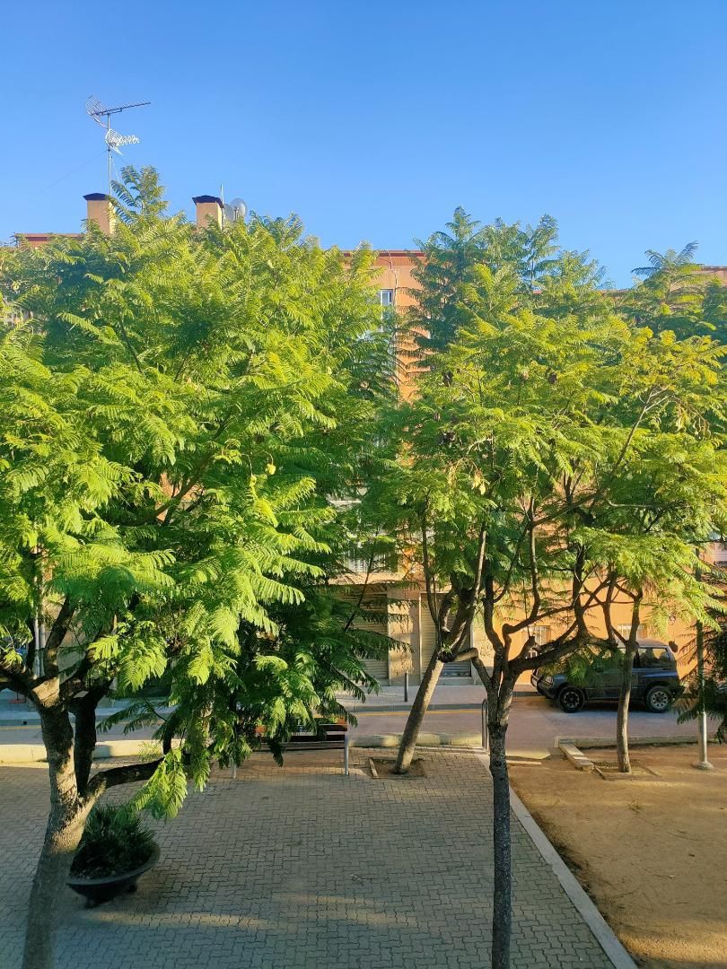 Flat for sale in Plaça Sant Jaume, 10, Montgat Exterior view of Flat for sale in Montgat with Oven and Balcony