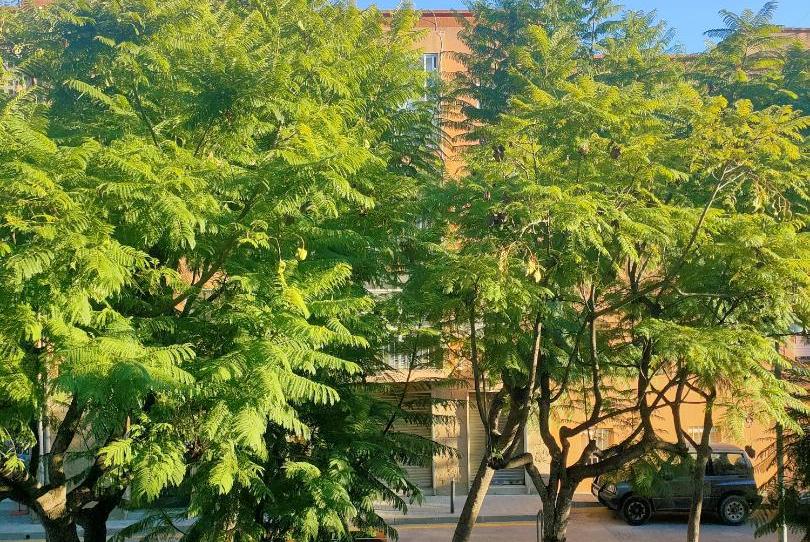 Flat for sale in Plaça Sant Jaume, 10, Montgat, Barcelona - image 1 Photo 1 of Flat for sale in Plaça Sant Jaume, 10, Montgat, Barcelona