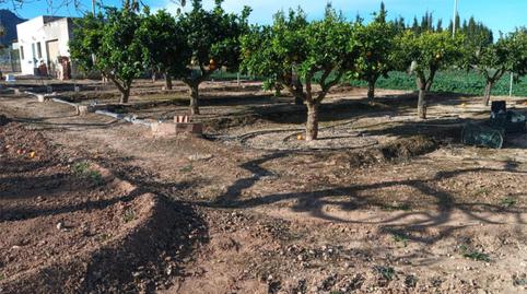 Foto 4 de Finca rústica en venta en Pasaje Barberos Palas, 43, La Pinilla - Las Palas, Murcia
