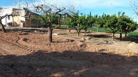 Foto 5 de Finca rústica en venta en Pasaje Barberos Palas, 43, La Pinilla - Las Palas, Murcia