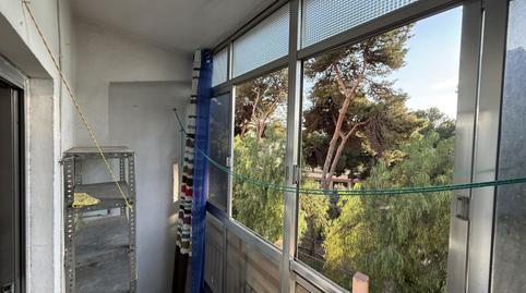 Piso de alquiler en Calle Menéndez Pidal, 22, San Luis, Almería - imagen 5 Foto 5 de Piso de alquiler en Calle Menéndez Pidal, 22, San Luis, Almería