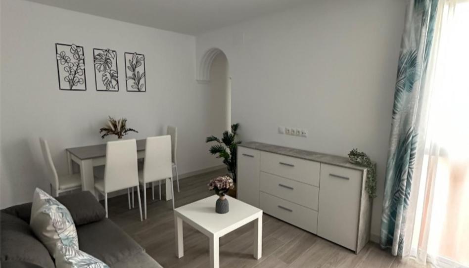 Pis de lloguer a Calle Dean Francisco Xavier, 36, El Brillante -El Naranjo - El Tablero, Córdoba - imatge 1 Foto 1 de Pis de lloguer a Calle Dean Francisco Xavier, 36, El Brillante -El Naranjo - El Tablero, Córdoba