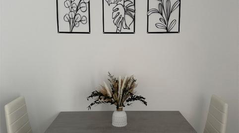 Pis de lloguer a Calle Dean Francisco Xavier, 36, El Brillante -El Naranjo - El Tablero, Córdoba - imatge 4 Foto 4 de Pis de lloguer a Calle Dean Francisco Xavier, 36, El Brillante -El Naranjo - El Tablero, Córdoba