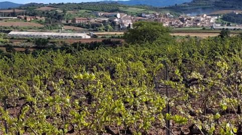 Foto 4 de Terreno en venta en Carretera Aguaron, 1, Cariñena, Zaragoza