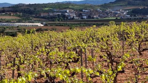 Foto 5 de Terreno en venta en Carretera Aguaron, 1, Cariñena, Zaragoza