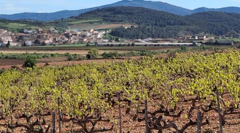 Foto 2 de Terreno en venta en Carretera Aguaron, 1, Cariñena, Zaragoza