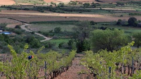 Foto 3 de Terreno en venta en Carretera Aguaron, 1, Cariñena, Zaragoza