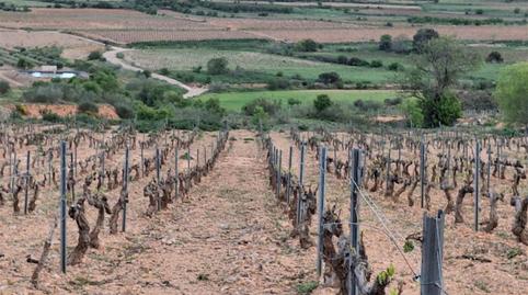 Foto 5 de Terreno en venta en Carretera Aguaron, 1, Cariñena, Zaragoza