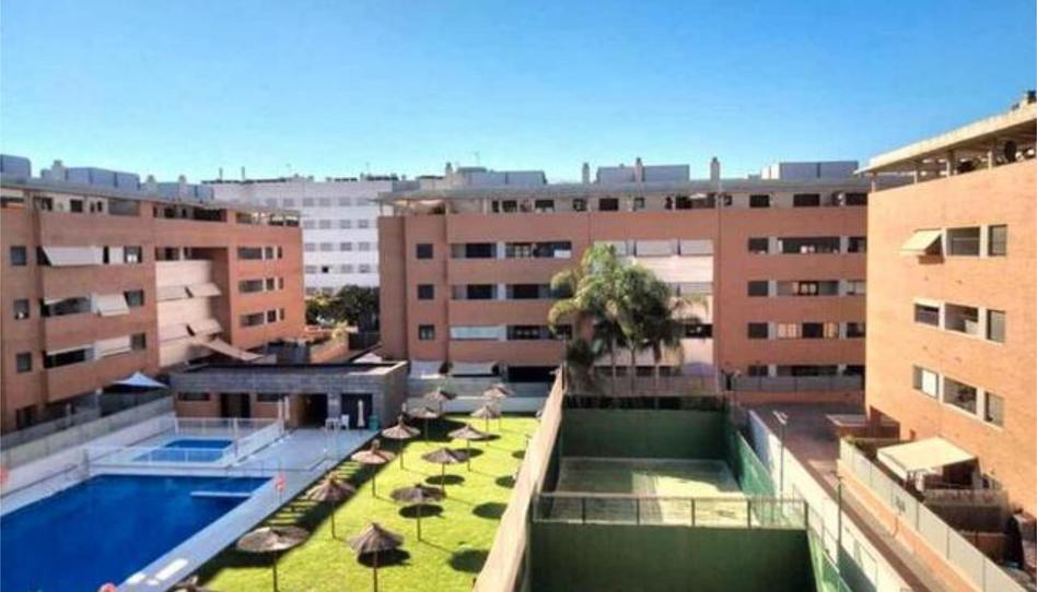 Pis de lloguer a Nuevo Bulevar, Sevilla - imatge 1 Foto 1 de Pis de lloguer a Nuevo Bulevar, Sevilla