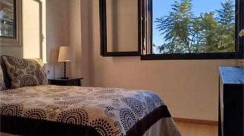 Pis de lloguer a Nuevo Bulevar, Sevilla - imatge 4 Foto 4 de Pis de lloguer a Nuevo Bulevar, Sevilla