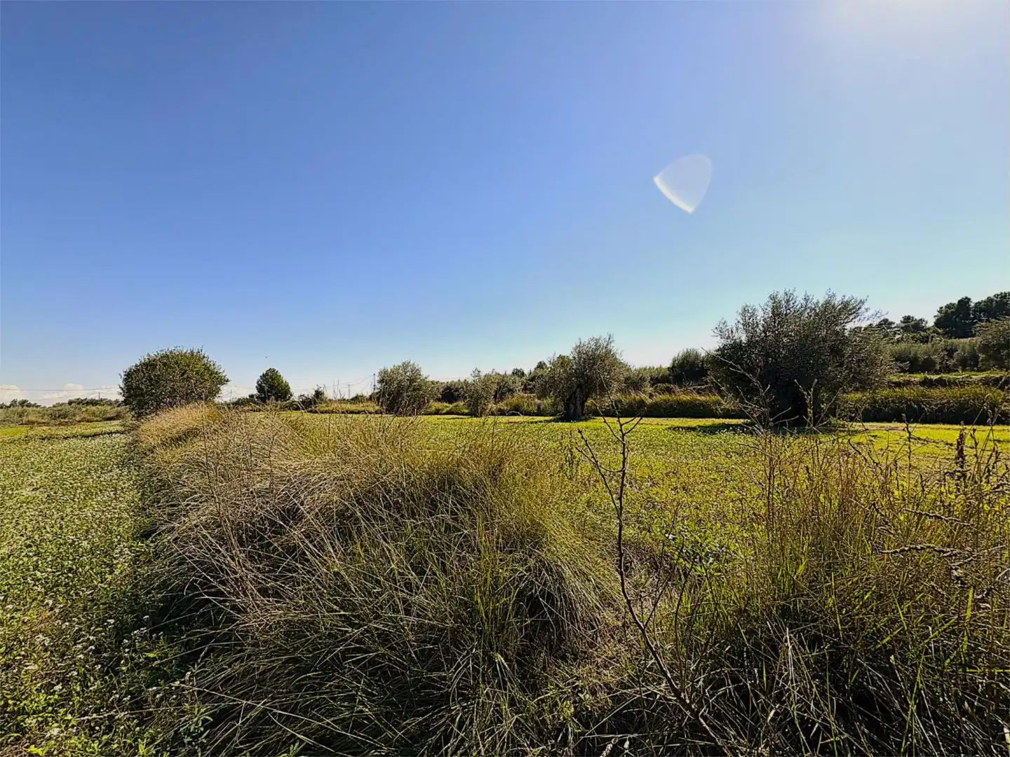 Finca rústica en venta en Camino Pieza de Navarro, 132, Moratalla Finca rústica en venta en Moratalla