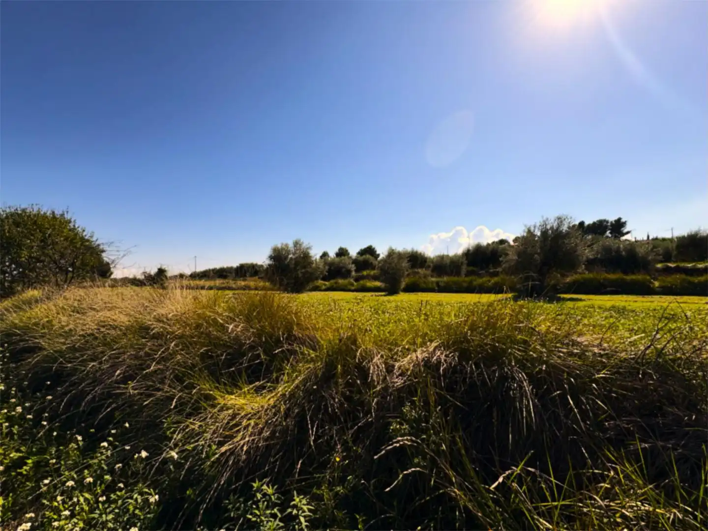 Finca rústica en venta en Camino Pieza de Navarro, 132, Moratalla Finca rústica en venta en Moratalla