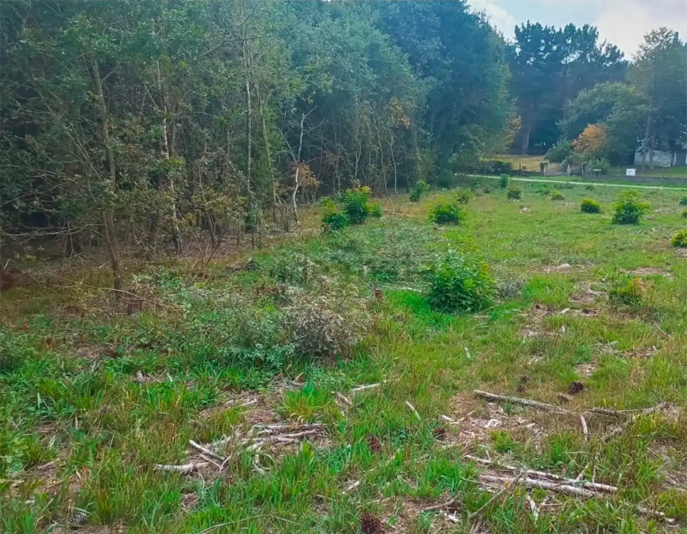 Finca rústica en venta en Lugo